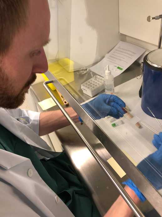 Researcher examines a sample using in vitro techniques.